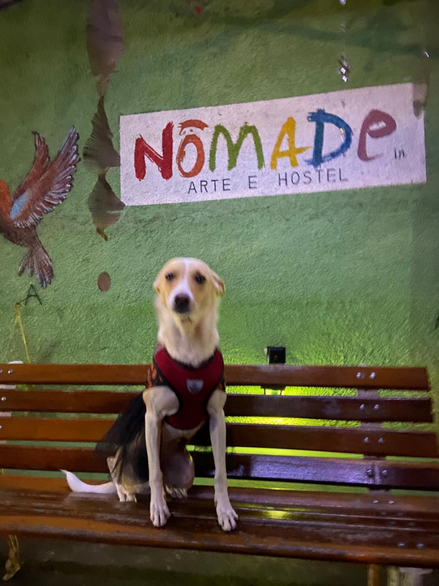 Nomade In Arte E Hostel São Paulo Luaran gambar